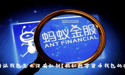 : 比特派钱包怎么没有私钥？揭秘数字货币钱包的安全性