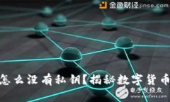 : 比特派钱包怎么没有私钥